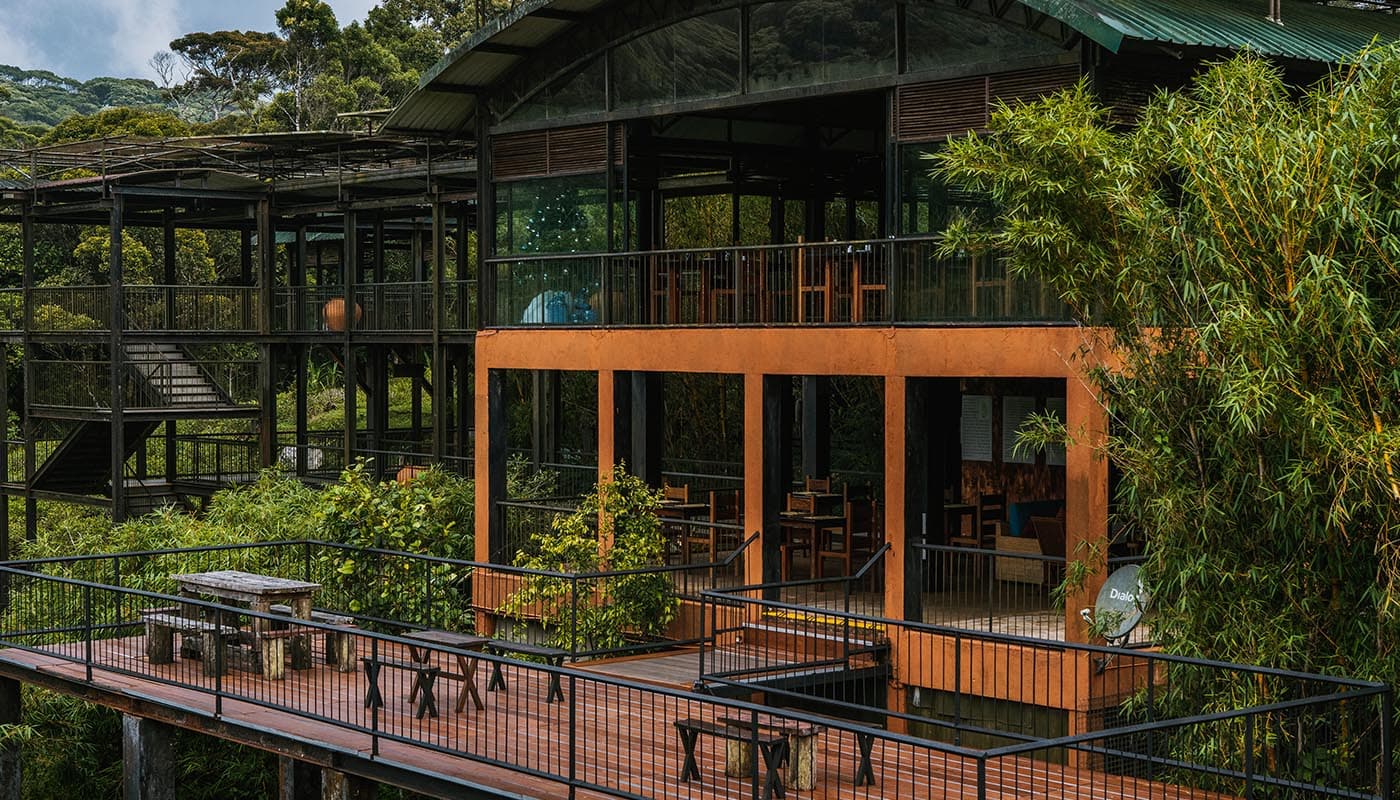 Sri Lanka’s Hidden Sanctuaries: The Best Boutique Eco-Lodges