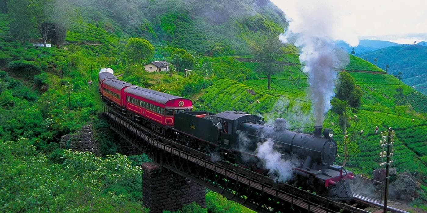 The Ultimate Sri Lanka Guide: Chasing the Red Train